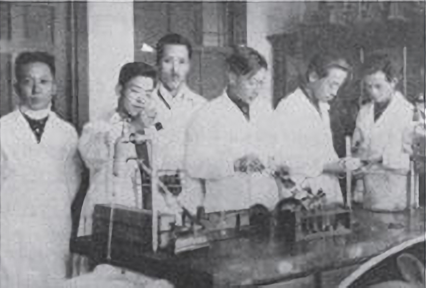 역사